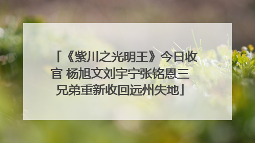 《紫川之光明王》今日收官 杨旭文刘宇宁张铭恩三兄弟重新收回远州失地