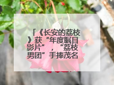 《长安的荔枝》获“年度瞩目影片”，“荔枝男团”手捧茂名荔枝走红毯