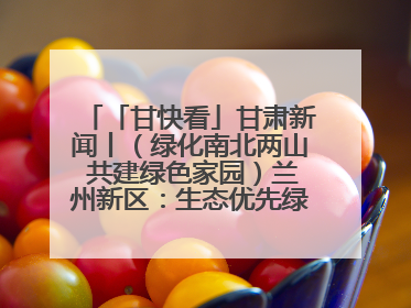 「甘快看」甘肃新闻丨（绿化南北两山 共建绿色家园）兰州新区：生态优先绿色发展 打造生态环保示范区