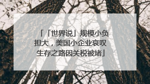 「世界说」规模小负担大，美国小企业哀叹生存之路因关税被堵