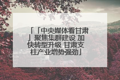 「中央媒体看甘肃」聚焦集群建设 加快转型升级 甘肃支柱产业增势强劲