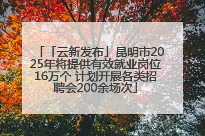 「云新发布」昆明市2025年将提供有效就业岗位16万个 计划开展各类招聘会200余场次