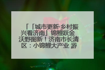 「城市更新·乡村振兴看济南」锦鲤跃金 沃野图新！济南市长清区：小锦鲤大产业 游出农旅新风景
