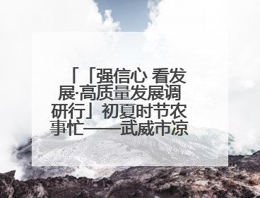 「强信心 看发展·高质量发展调研行」初夏时节农事忙——武威市凉州区推进高标准农田建设见闻