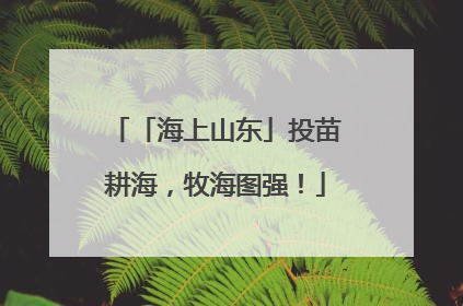 「海上山东」投苗耕海，牧海图强！