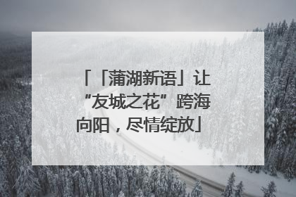 「蒲湖新语」让“友城之花”跨海向阳，尽情绽放