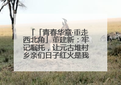 「青春华章·重走西北角」董建新：牢记嘱托，让元古堆村乡亲们日子红火是我最大动力！