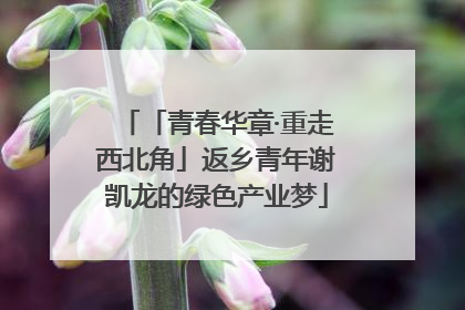 「青春华章·重走西北角」返乡青年谢凯龙的绿色产业梦