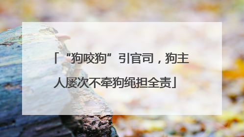 “狗咬狗”引官司，狗主人屡次不牵狗绳担全责