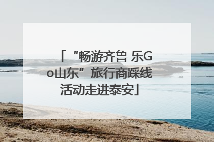 “畅游齐鲁 乐Go山东”旅行商踩线活动走进泰安