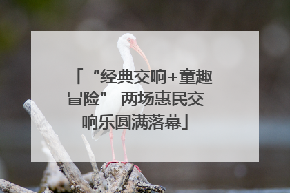 “经典交响+童趣冒险” 两场惠民交响乐圆满落幕