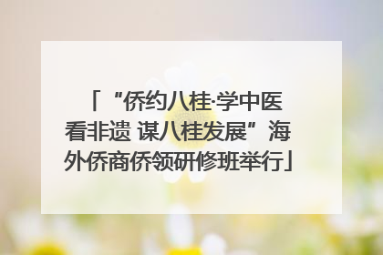 “侨约八桂·学中医 看非遗 谋八桂发展”海外侨商侨领研修班举行