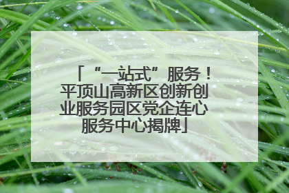 “一站式”服务！平顶山高新区创新创业服务园区党企连心服务中心揭牌