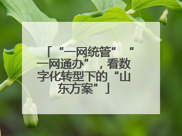 “一网统管”“一网通办”，看数字化转型下的“山东方案”