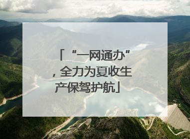 “一网通办”，全力为夏收生产保驾护航