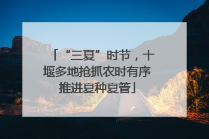 “三夏”时节，十堰多地抢抓农时有序推进夏种夏管