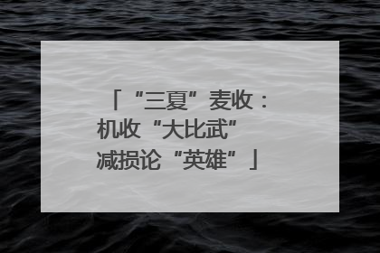 “三夏”麦收：机收“大比武” 减损论“英雄”