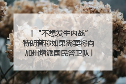 “不想发生内战” 特朗普称如果需要将向加州增派国民警卫队