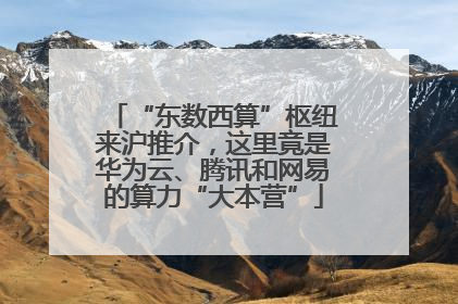 “东数西算”枢纽来沪推介，这里竟是华为云、腾讯和网易的算力“大本营”