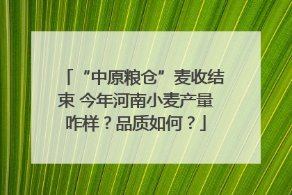 “中原粮仓”麦收结束 今年河南小麦产量咋样？品质如何？
