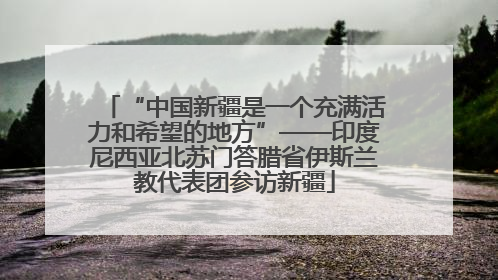 “中国新疆是一个充满活力和希望的地方”——印度尼西亚北苏门答腊省伊斯兰教代表团参访新疆