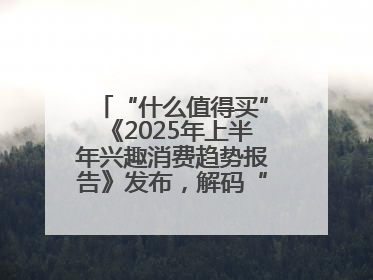 “什么值得买”《2025年上半年兴趣消费趋势报告》发布，解码“心价比”时代兴趣消费新范式