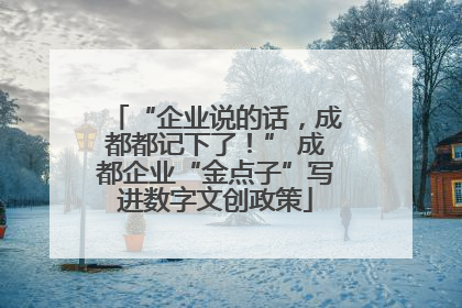 “企业说的话，成都都记下了！” 成都企业“金点子”写进数字文创政策
