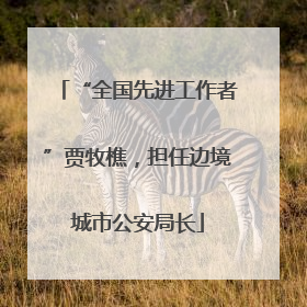 “全国先进工作者”贾牧樵，担任边境城市公安局长