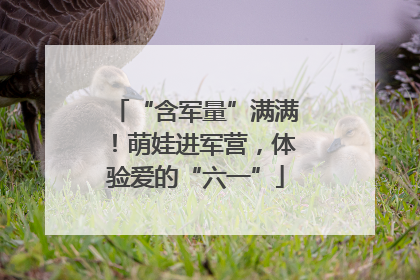 “含军量”满满！萌娃进军营，体验爱的“六一”