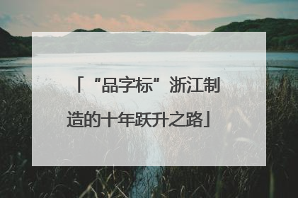“品字标”浙江制造的十年跃升之路