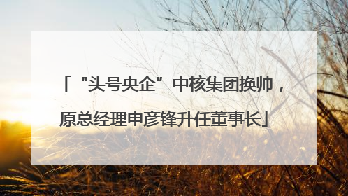 “头号央企”中核集团换帅，原总经理申彦锋升任董事长