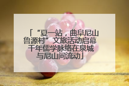 “夏一站，曲阜尼山鲁源村”文旅活动启幕 千年儒学脉络在泉城与尼山间流动