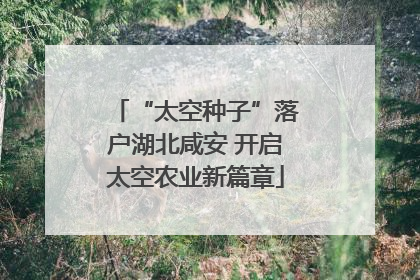 “太空种子”落户湖北咸安 开启太空农业新篇章