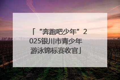“奔跑吧少年”2025银川市青少年游泳锦标赛收官