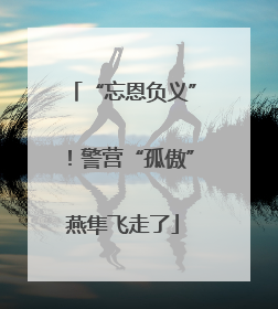 “忘恩负义”！警营“孤傲”燕隼飞走了