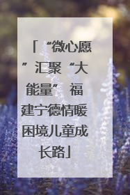 “微心愿”汇聚“大能量” 福建宁德情暖困境儿童成长路