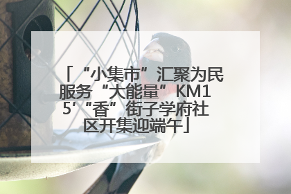 “小集市”汇聚为民服务“大能量”KM15′“香”街子学府社区开集迎端午