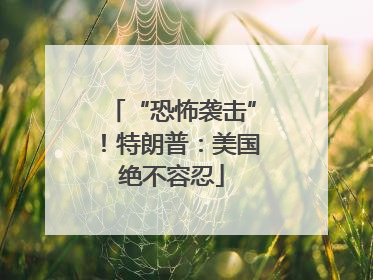 “恐怖袭击”！特朗普：美国绝不容忍