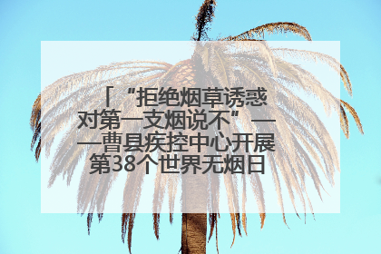 “拒绝烟草诱惑 对第一支烟说不”——曹县疾控中心开展第38个世界无烟日科普宣传活动