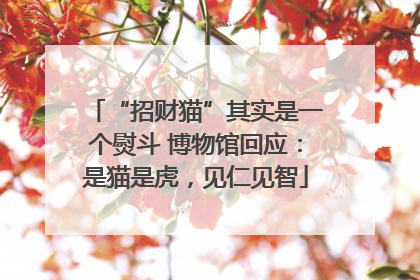 “招财猫”其实是一个熨斗 博物馆回应：是猫是虎，见仁见智