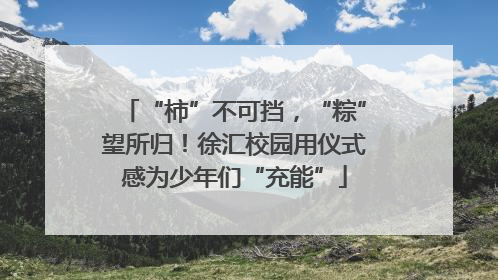 “柿”不可挡，“粽”望所归！徐汇校园用仪式感为少年们“充能”