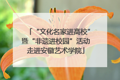 “文化名家进高校”暨“非遗进校园”活动走进安徽艺术学院