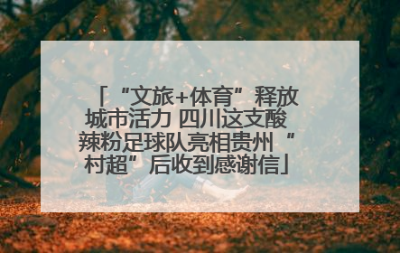 “文旅+体育”释放城市活力 四川这支酸辣粉足球队亮相贵州“村超”后收到感谢信