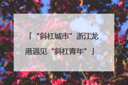 “斜杠城市”浙江龙港遇见“斜杠青年”