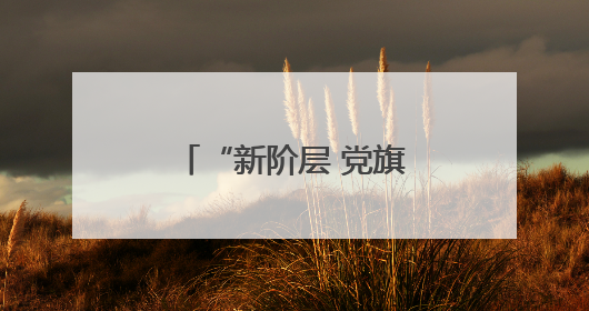“新阶层 党旗红”——菏泽市新的社会阶层人士奏响七一赞歌