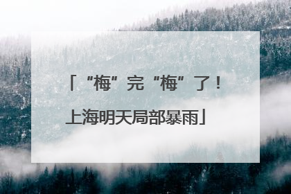 “梅”完“梅”了！上海明天局部暴雨