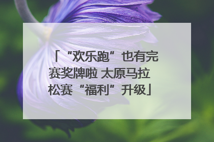 “欢乐跑”也有完赛奖牌啦 太原马拉松赛“福利”升级