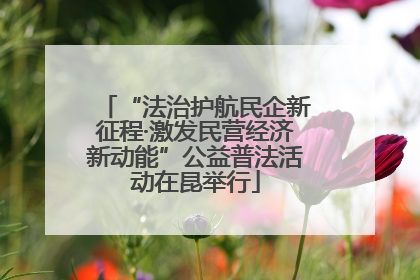 “法治护航民企新征程·激发民营经济新动能”公益普法活动在昆举行