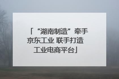 “湖南制造”牵手京东工业 联手打造工业电商平台