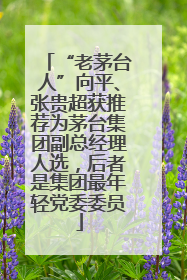 “老茅台人”向平、张贵超获推荐为茅台集团副总经理人选，后者是集团最年轻党委委员